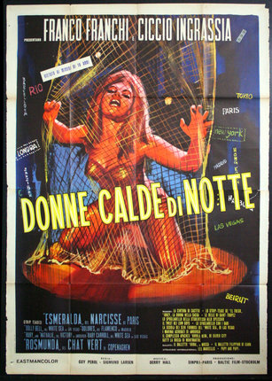 a poster of a woman in a net
