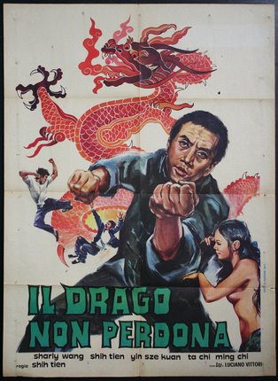 a poster of a man fighting with a dragon