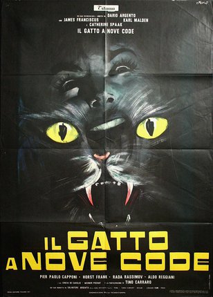 a poster of a cat with yellow text