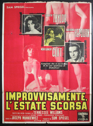 a movie poster with a woman in underwear