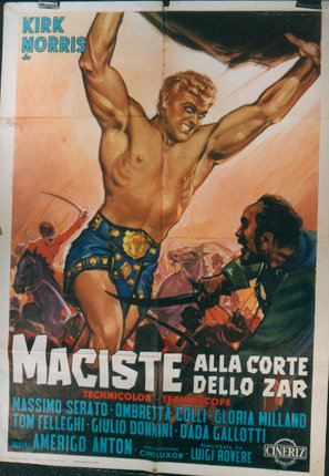 a poster of a man fighting with swords