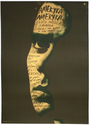 a poster of a face with writing on it
