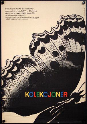 a poster of a butterfly