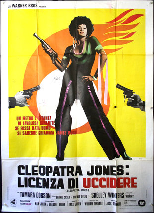 a poster of a woman with guns