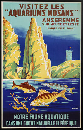 a poster of a sea life