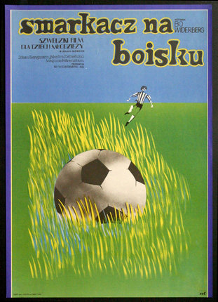 a poster of a football ball in the grass