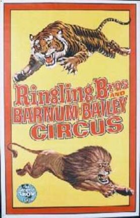 a poster of a circus show