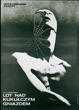 a poster of a man with a spider web