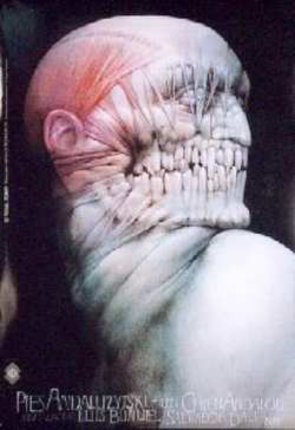 a close-up of a human body