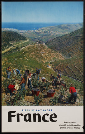 a group of people working on a mountain harvesting grapes