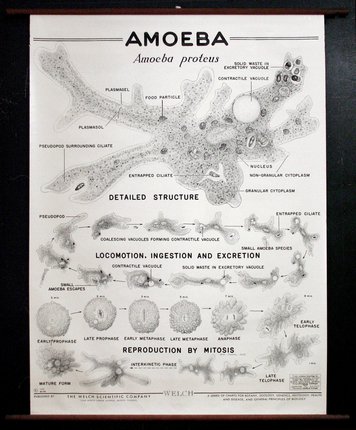 a black and white poster with text and pictures