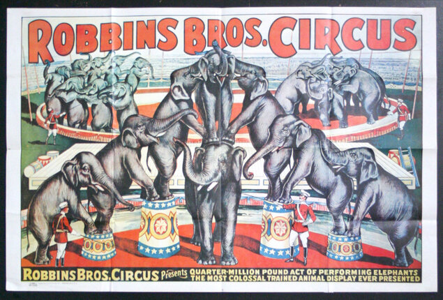 a poster of elephants in a circle