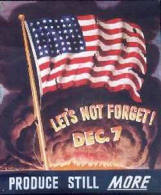 a flag flying in the wind