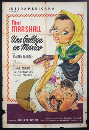 a movie poster with a woman on the back