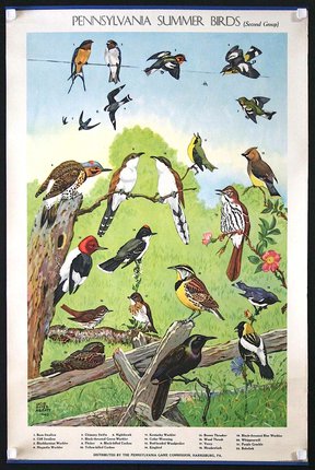 a poster of birds on a branch