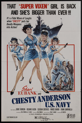 movie poster with an illustration of woman in uniform doing karate