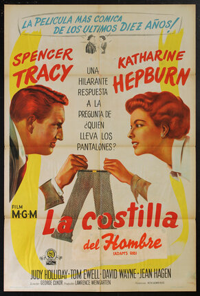 a movie poster with illustration of a man and woman fighting over a pair of pants