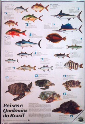 a poster with different types of fish