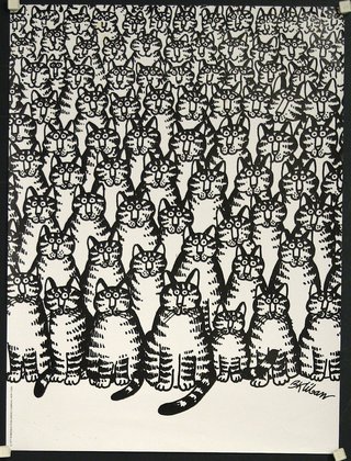 a large group of cats