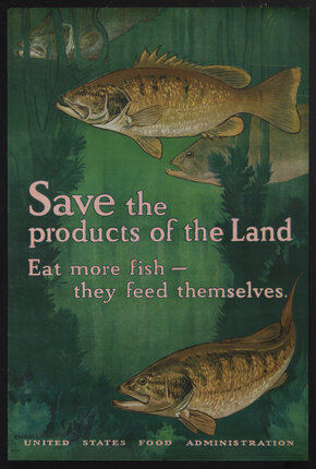 an illustration of fish