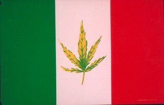 a green leaf on a red white and green flag