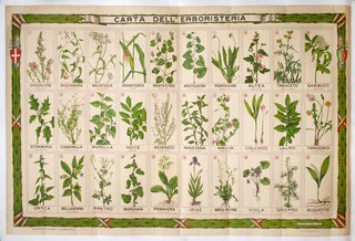 a poster of plants and flowers