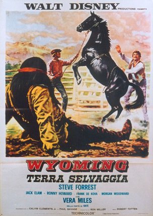 a poster of a horse being thrown by a man