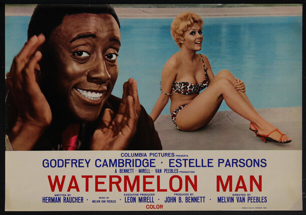 movie poster with a man smiling, and a woman in a bikini by the pool