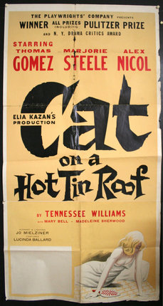 a poster of a cat on a hot tin roof