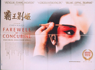 a movie poster of a woman with a brush on her face