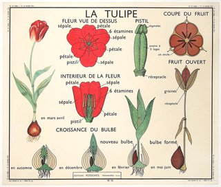 a poster with flowers and seeds