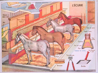 a diagram of horses in a stable