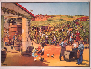 a group of people in a farm