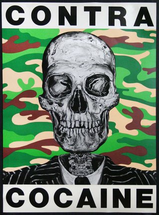 a poster with a skull and a camouflage background