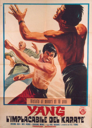 a poster of a man fighting with another man