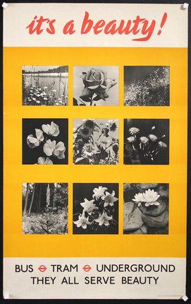 a yellow poster with black and white flowers
