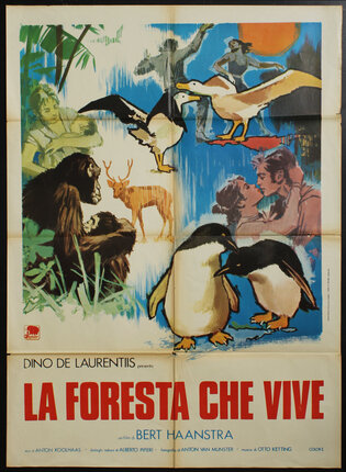 a poster of animals and birds
