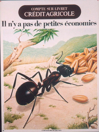a poster of an ant