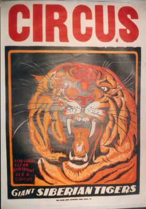 a poster with a tiger face