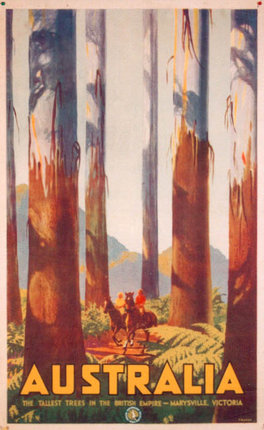a poster of a forest with trees