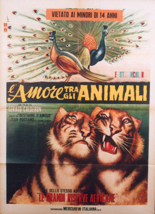a poster of two tigers and a peacock