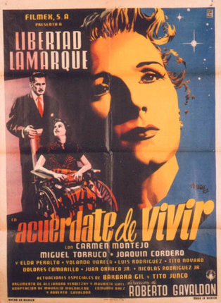 a poster of a woman in a wheelchair
