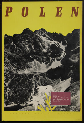 a poster with a mountain landscape