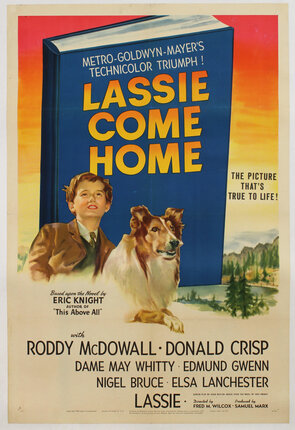a movie poster with a dog and a man