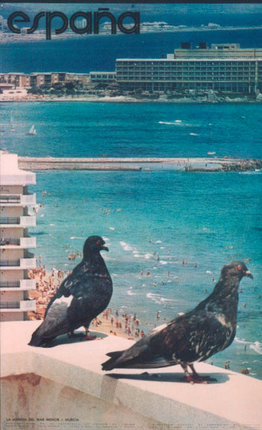 birds standing on a ledge near a beach