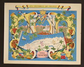 a map of france with grapes and vines