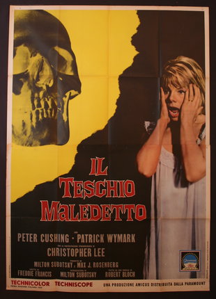 a movie poster of a woman and a skull