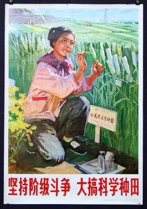 a poster of a woman in a field