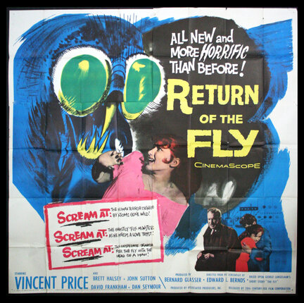a movie poster with a bird and woman