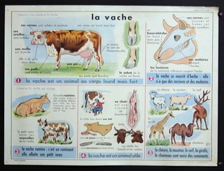 a poster with animals and text